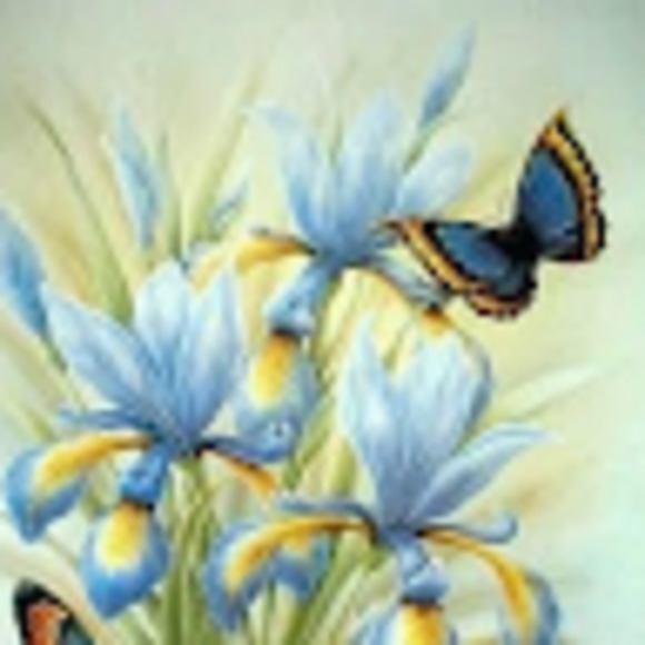 Meet your Posher, Stephanie - Picture 1 of 1